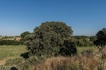 Land in Navalcarnero, Spain No. 113239 - Image 29