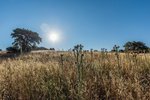 Land in Navalcarnero, Spain No. 113239 - Image 31