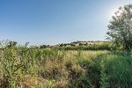 Land in Navalcarnero, Spain No. 113239 - Image 32