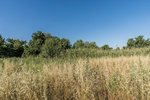 Land in Navalcarnero, Spain No. 113239 - Image 33