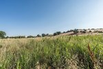 Land in Navalcarnero, Spain No. 113239 - Image 35