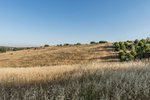 Land in Navalcarnero, Spain No. 113239 - Image 36
