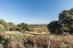 Land in Navalcarnero, Spain No. 113239 - Image 43