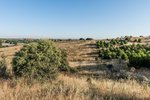 Land in Navalcarnero, Spain No. 113239 - Image 44