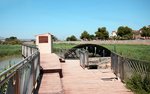 2 bedrooms Apartment in Benijofar, Spain No. 11325 - Image 15