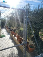 6 bedrooms House in Hellin, Spain No. 113952 - Image 5