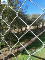 6 bedrooms House in Hellin, Spain No. 113952 - Image 6