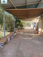 6 bedrooms House in Hellin, Spain No. 113952 - Image 7