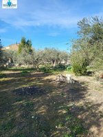 6 bedrooms House in Hellin, Spain No. 113952 - Image 16