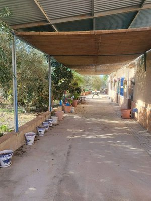 6 bedrooms House in Hellin, Spain No. 113954