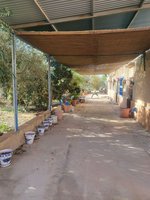 6 bedrooms House in Hellin, Spain No. 113954 - house in Spain