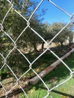 6 bedrooms House in Hellin, Spain No. 113954 - Image 2