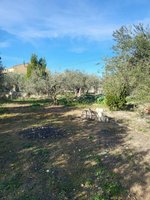 6 bedrooms House in Hellin, Spain No. 113954 - Image 3