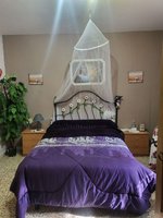 6 bedrooms House in Hellin, Spain No. 113954 - Image 14