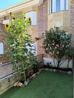 5 bedrooms Townhouse in Carrascal de Barregas, Spain No. 115040 - townhouse in Spain