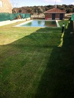5 bedrooms Townhouse in Carrascal de Barregas, Spain No. 115040 - Image 11