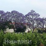 4 bedrooms House in Benifaio, Spain No. 116002 - Image 20