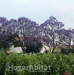 4 bedrooms House in Carcaixent, Spain No. 116004 - Image 28