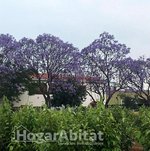 4 bedrooms House in Carcaixent, Spain No. 116005 - Image 28