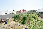 251m² Land in Moncofa, Spain No. 116411 - Image 10