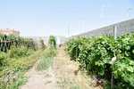 251m² Land in Moncofa, Spain No. 116411 - Image 45