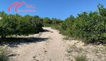 18447m² Land in Abanilla, Spain No. 116813 - Image 3