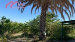 18447m² Land in Abanilla, Spain No. 116813 - Image 5