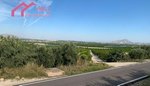 18447m² Land in Abanilla, Spain No. 116813 - Image 6