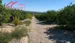 18447m² Land in Abanilla, Spain No. 116813 - Image 8
