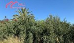 18447m² Land in Abanilla, Spain No. 116813 - Image 9