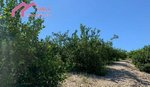 18447m² Land in Abanilla, Spain No. 116813 - Image 11