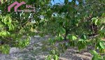 18447m² Land in Abanilla, Spain No. 116813 - Image 14