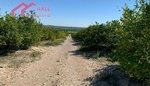 18447m² Land in Abanilla, Spain No. 116813 - Image 15