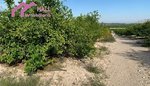 18447m² Land in Abanilla, Spain No. 116813 - Image 17