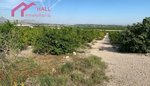18447m² Land in Abanilla, Spain No. 116813 - Image 20