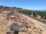 11758m² Land in Arico, Spain No. 117773 - Image 5