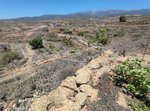 11758m² Land in Arico, Spain No. 117773 - Image 12