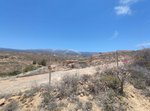 11758m² Land in Arico, Spain No. 117773 - Image 14