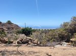 11758m² Land in Arico, Spain No. 117773 - Image 15