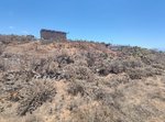 11758m² Land in Arico, Spain No. 117773 - Image 16