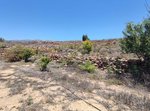 11758m² Land in Arico, Spain No. 117773 - Image 21