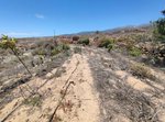 11758m² Land in Arico, Spain No. 117773 - Image 24