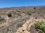 11758m² Land in Arico, Spain No. 117773 - Image 25