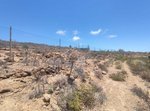 11758m² Land in Arico, Spain No. 117773 - Image 26