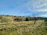 36887m² Land in Valdemorillo, Spain No. 118434 - Image 4