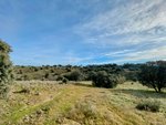 36887m² Land in Valdemorillo, Spain No. 118434 - Image 5