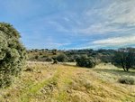 36887m² Land in Valdemorillo, Spain No. 118434 - Image 6