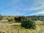36887m² Land in Valdemorillo, Spain No. 118434 - Image 7