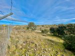 36887m² Land in Valdemorillo, Spain No. 118434 - Image 8