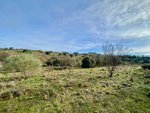 Land in Valdemorillo, Spain No. 118435 - Image 4